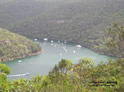 Ku-Ring-Gai Chase NP - Cottage Point Lookout